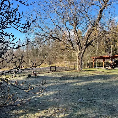 U Lesa V Zeleznych Horach Villa *