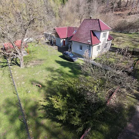Villa U Lesa V železných Horách *