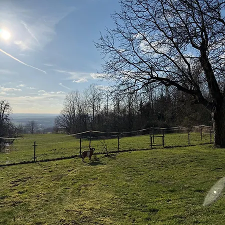 Villa U Lesa V železných Horách