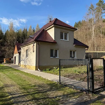 U Lesa V železných Horách *