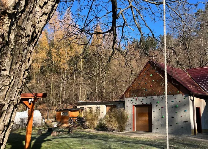U Lesa V železných Horách *