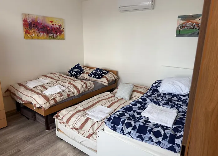 Villa U Lesa V železných Horách *