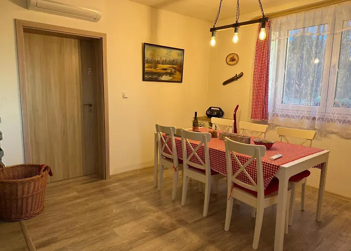 Villa U Lesa V železných Horách