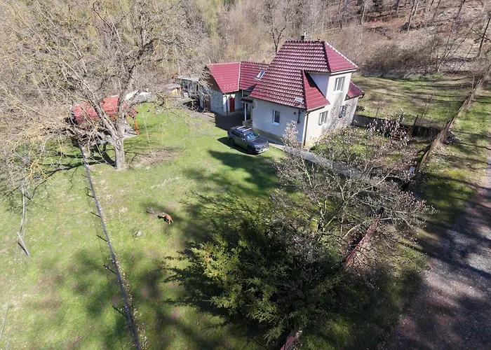 Villa U Lesa V železných Horách *