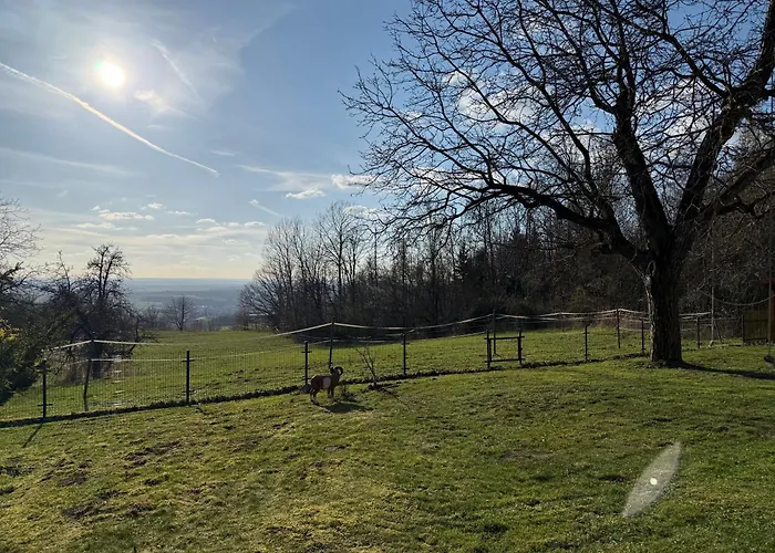 Villa U Lesa V železných Horách
